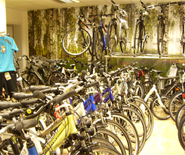 Fahrradladen SCHNEIDER Bild 6