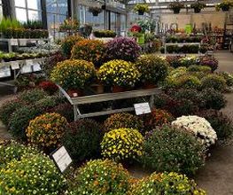 GAMM VERT image 9