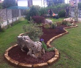 Gallery Cliente