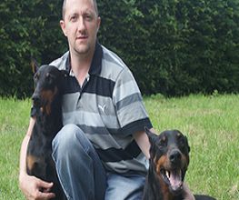 Amis Dogs 76 image 12