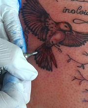 tatuaje-pajaro-03.jpg