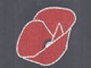 Au Coq'Licot
