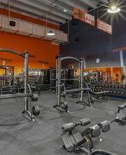 Basic-Fit Ladies image 4