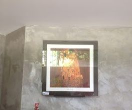 Actyfroid image 12
