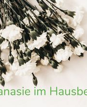 felmo-leistungen-Euthanasie im Hausbesuch.jpg