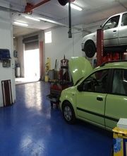 Gallery Cliente