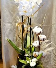 Blumengeschäft Blattmaus Bild 9