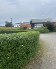 IMG_2494.jpeg