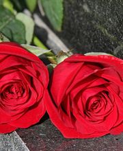 Limousin Assistance SARL image 2