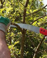 Vista Valley Tree Service Inc image 11