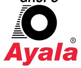 Michelin Car Service Grupo Ayala Colosio imagen 1
