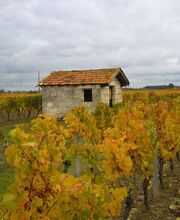 Giraud SARL image 6