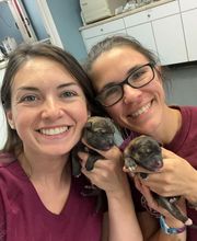 Staunton River Veterinary Clinic image 6