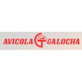 logogalocha.png
