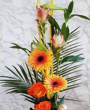 Le Plein Des Sens image 12