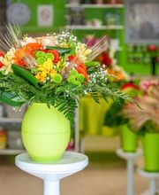 Maison Goua SARL image 10
