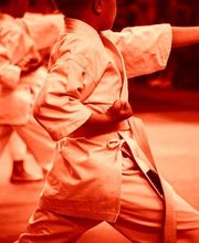 Taketomikai - Arti marziali Mendrisio Bild 1