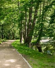 Die Hauptwege im Park sind sehr gut begehbar.