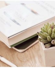 Duby Molins Psicóloga imagen 6