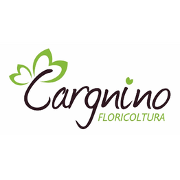 Cargnino Floricoltura logo