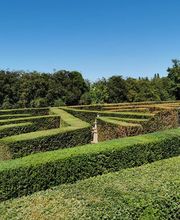 Alex Paysage image 5