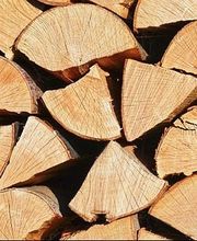 Bischoff Transporte AG Bild 2