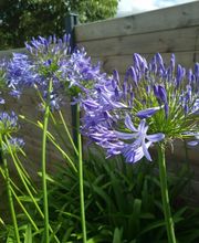 Camping aux Portes de Paimpol image 3