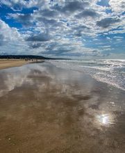 DANIEL FEAU DEAUVILLE image 2