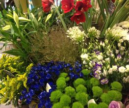 ORPHEE FLEURS image 4