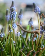 Sommerer & Co Bild 3