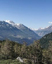 Weisshorn | Berghotel + Restaurant Bild 7