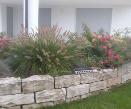 Grün & mehr Garten- und Landschaftsbau Thorsten Merkle Bild 12
