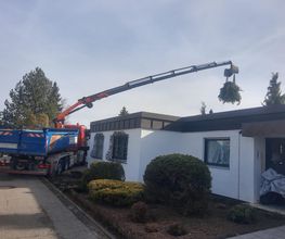 AC- Gartengestaltung Bild 7