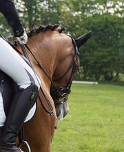 Ruitersportcentrum Seurenheide