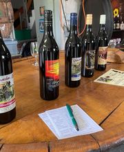 Weinbau Leuengrund - Schneider Weine Bild 7