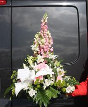 Jardins Divers image 1