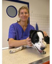 Tierarztpraxis Mauhs Bild 3