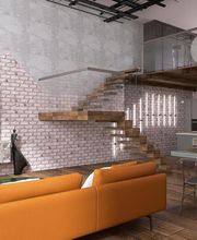 Jardines Vladimir S.L imagen 6