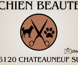 Chien Beauté image 2