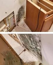 Water Damage Cleanup Team image 3