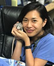 Irvine Valley Veterinary Hospital Emergency image 16