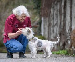 Tierklinik Rossweid AG Bild 9