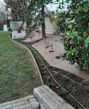 Green Artists Swiss Sagl Bild 5