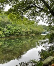 Elaine Hughes Realty Group LLC image 18