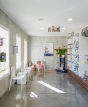 Clinique vétérinaire de Saint-Affrique - Sevetys image 3