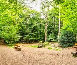 FriedWald Bramsche Bild 11