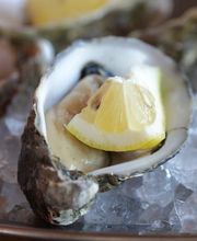 Finca Luz del Flumen imagen 5