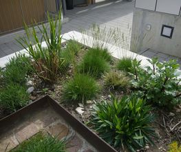 Madano Gartenbau & Gartenpflege Bild 11