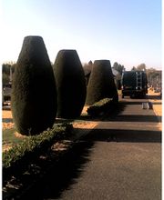 Chatelain Arnaud image 1