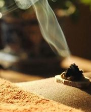 TCM-Helvetica GmbH Bild 1